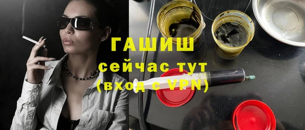 шишки Лабытнанги