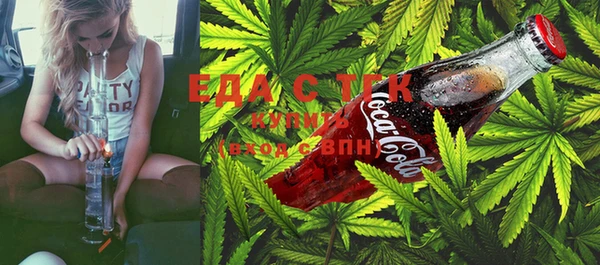 шишки Лабытнанги