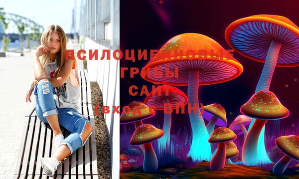 соль ск Ладушкин