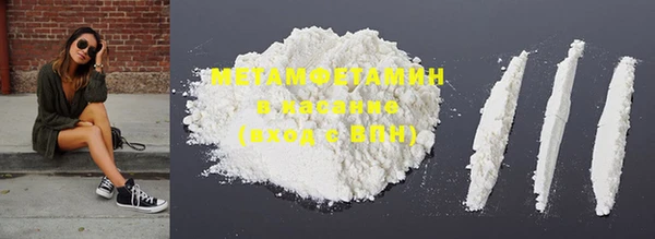 шишки Лабытнанги