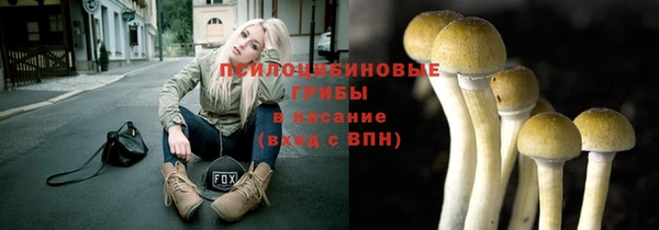 соль ск Ладушкин