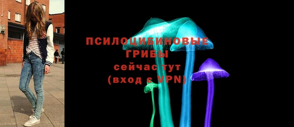 шишки Лабытнанги