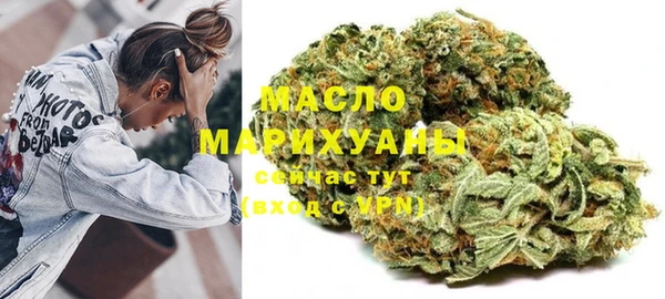 шишки Лабытнанги