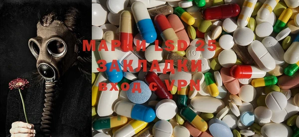 шишки Лабытнанги