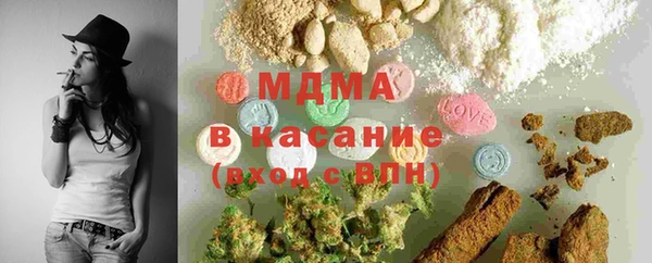 шишки Лабытнанги