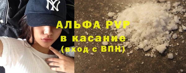 шишки Лабытнанги