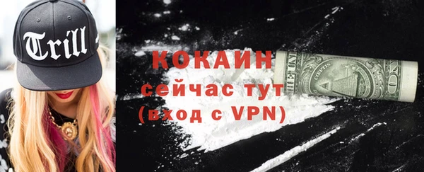шишки Лабытнанги