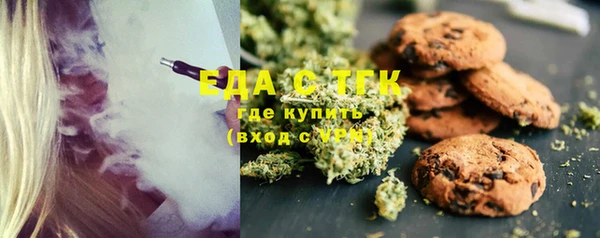 шишки Лабытнанги