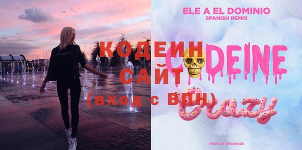 шишки Лабытнанги
