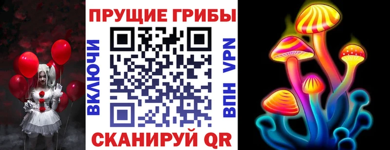Купить где  Циолковский  Галлюциногенные грибы мицелий 