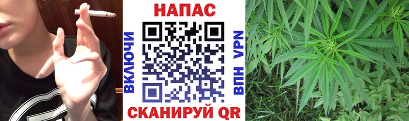 Купить  Циолковский  Марихуана планчик 